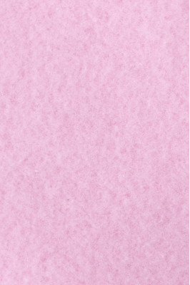 Світшот жіночий